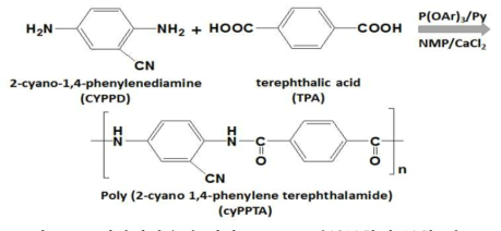 인산화반응에 의한 CYPPD 단독중합체 중합 경로.