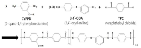 CYPPD/ODA 공중합체 중합경로.
