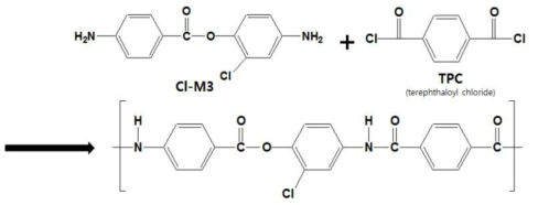 신규단량체 단독중합체 중합경로.