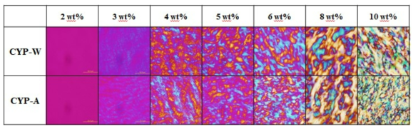 CYP-W 및 CYP-A 용액의 polarized optical micrographs.