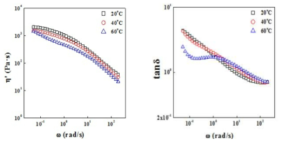 황산에 용해한 CY-PPTA 용액의 B-point에서의 점도 및 loss tangent (tan δ) 곡선