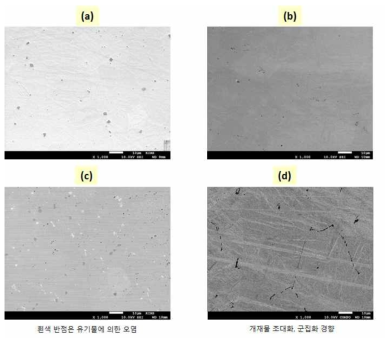 SEM 표면 관찰