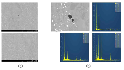VIM CoCr 용해(150kg) (a) SEM (b) EDS
