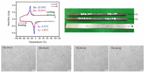 VG-4 샘플에 대한 조직 및 DSC분석 결과