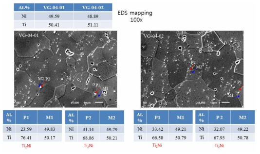VG-4 샘플에 대한 SEM/EDS분석 결과
