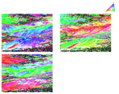 인발된 CoCr합금 미세튜브의 조직관찰(EBSD 분석결과)