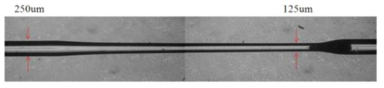 250 um 직경의 광섬유를 125 um로 tapering 한 결과