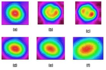 (a-c) 1~5 W의 저출력에서 나타나는 여러 가지 레이저 출력빔 모양 (d-f) 10 W 이상 고출력에서 출력빔의 대표적 모양들(10~30 W). 광섬유에 압력과 휨을 주면서 CCD 카메라로 측정함. 10 W 이상에서는 출력빔의 모양은 위 그림에서 크게 벗어나지 않음.