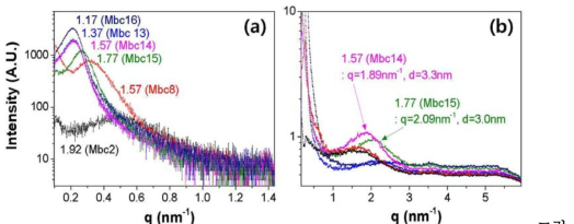 멀티블록 공중합체(MBC)의 T-SAXS 실험을 통한 (a) 소수성/친수성 블록의 상분리 및 (b) 이온채널의 구조 및 크기 관찰