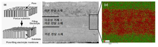 강화 분리막 (a) 제조 원리, (b) 부분 불소계 강화 분리막 SEM 단면 형상 (c) EDAX를 통한 원소 분석