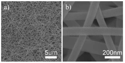 전기방사법을 이용하여 합성한 In2O3 나노섬유의 SEM 이미지.