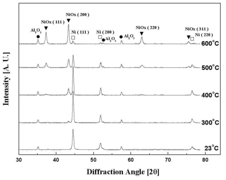 니켈 박막의 열처리온도에 따른 X 선 회절 패턴변화.