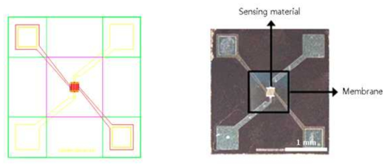 설계 및 제작한 가스 센서 device의 설계 도면 (좌) 과 현미경 이미지 사진 (우)