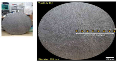 직경 1.0m급 Ti-6Al-4V 잉고트 단면 거시조직.