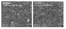 SU8샘플과 SU10 샘플의 SEM 이미지