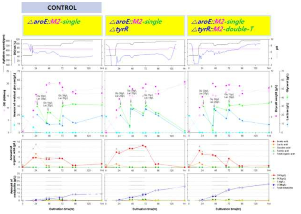 E. coli AB2834△aroE::M2-single, AB2834△aroE::M2-single△tyrR 및 AB2834△aroE::M2-single△tyrR::M2-double-T 균주의 배양 profiles