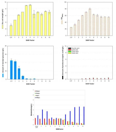 SAM 실험 설계를 통한 배지 조합에 따른 dry cell weight, OD, glucose 잔량, total 유기산, 대사체 및 muconic acid 분석 결과 비교 graph