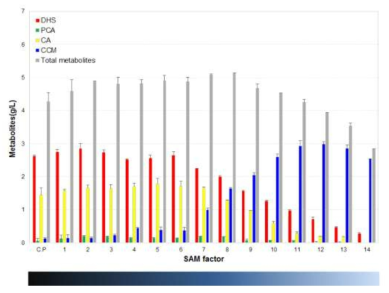 SAM 대사체 생산 graph