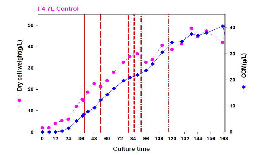 Glucose 농도에 따른 phosphate limited fed-batch culture 비교 결과