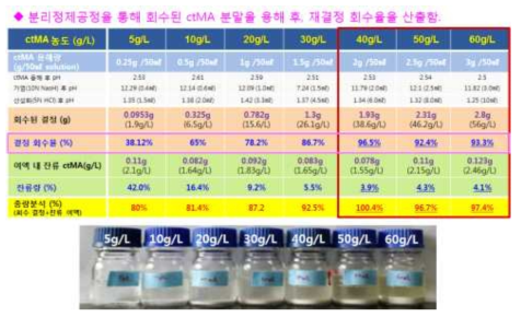 분리/정제를 통해 회수된 c,t-MA 결정분말의 재결정 회수율