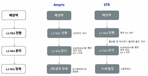 바이오-뮤코닉산의 분리정제공정 개괄