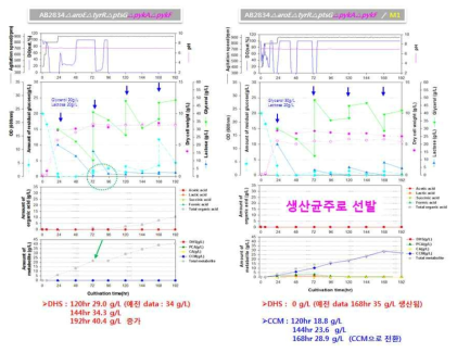 E.coli AB2834△aroE△tyrR△ptsG△pykA△pykF 및 △aroE△tyrR△ptsG△pykA△pykF /Plac_aroZ,aroY,catA 균주의 발효기 배양 profiles.