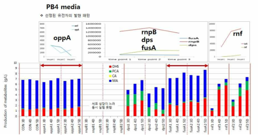 Promoter 교체 균주의 뮤코닉산으로의 전환속도 및 생산량 확인 결과 (PB4 media)