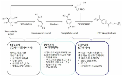 세부 과제 구성