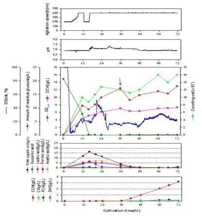E. coli AB2834△aroE/pMESK1 균주의 배양 profiles