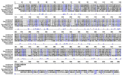 K. pneumoniae의 protocatechuate decarboxylase(aroY)와 E. cloacae의 3,4-dihydroxybenzoate decarboxylae(yigC)의 아미노산서열 비교