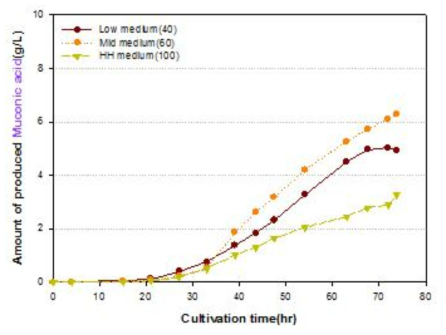 Muconic acid production by C. glutamicum strains expressing condon-optimized kpdBCD using sod promoter