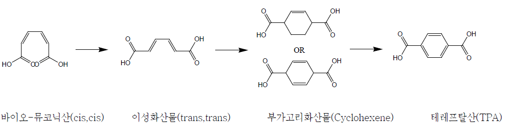 바이오-뮤코닉산으로부터 테레프탈산(TPA)으로의 전환 공정 흐름도