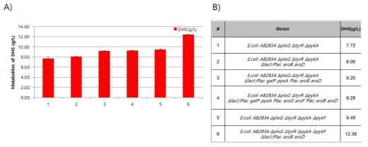 신규 E. coli 과발현 균주의 DHS 생산량 HPLC 분석 결과.