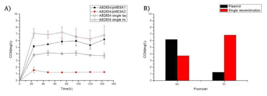 Single recombination 된 균주와 플라스미드가 도입된 균주의 뮤코닉산 생산 비교.