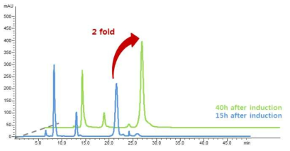 AB2834 ΔtyrR∷lac_M1 배양의 HPLC 분석 결과