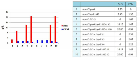 외래유전자가 삽입되도록 추가 제작된 균주의 뮤코닉산 생산량 HPLC 분석 결과