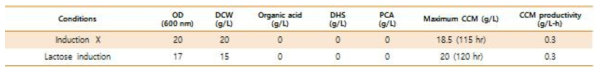 NO induction과 Lactose induction에서의 뮤코닉산 생산성 비교