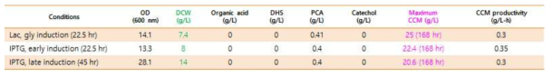 Lactose induction & glycerol, IPTG induction (22.5 hr) & glucose feeding과, IPTG induction (45 hr) & glucose feeding조건에서의 뮤코닉산 생산성 비교