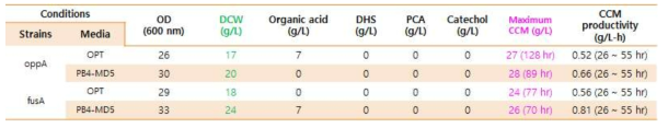 E. coli AB2834 △aroE△tyrR△ptsG△pykA△pykF/M1_oppA & fusA 균주, OPT 배지 & PB4-MD5 배지에서의 뮤코닉산 생산성 비교