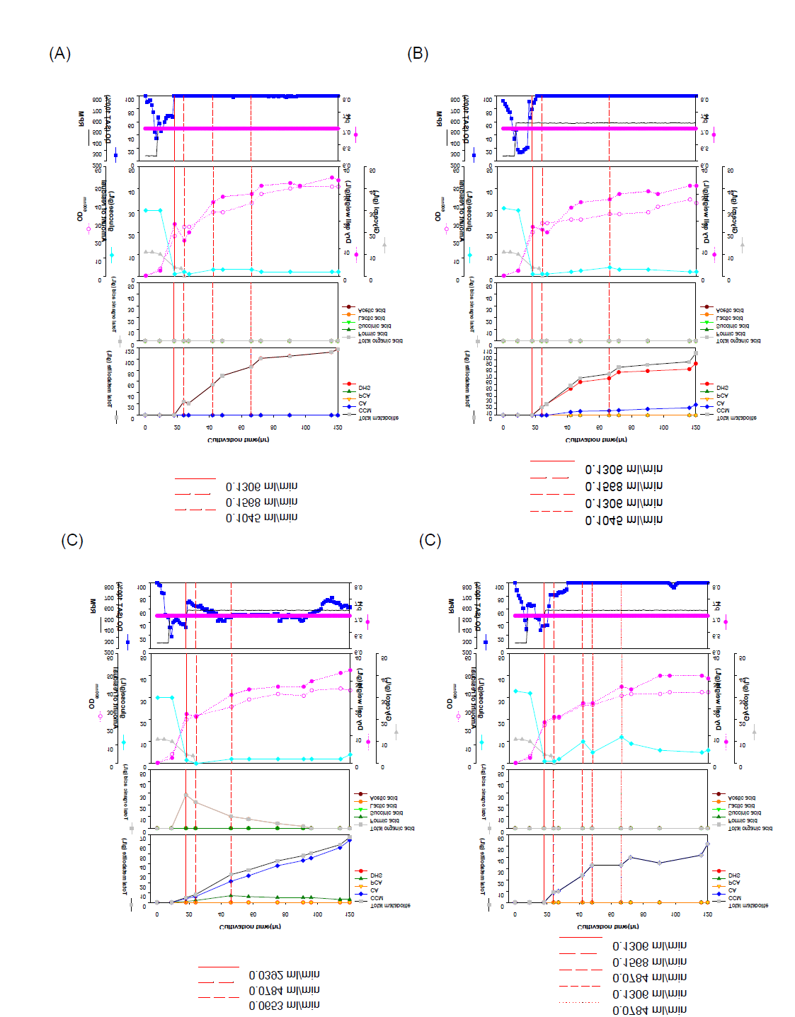 E. coli AB2834△aroE△tyrR△ptsG△pykA 균주에 galP, ppsA, aroGFBD 유전자를 integration 하고 lac promoter 기반의 plasmid를 도입한 균주의 배양 결과