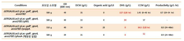 E. coli AB2834△aroE△tyrR△ptsG△pykA/△LacI::PLac-galP 균주 및 promoter에 따른 균주들의 DHS 및 뮤코닉산 생산성 비교