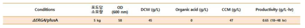 E. coli AB2834 △aroE△tyrR△ptsG△pykA/fusA 균주의 50 L 발효기에서의 뮤코닉산 생산성 확인
