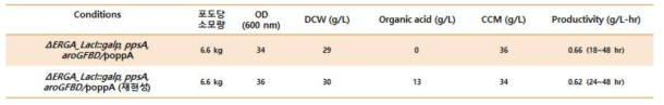 E. coli AB2834△aroE△tyrR△ptsG△pykA/△LacI::PLac-galP, ppsA, aroGFBD/oppA 균주의 50L 발효기에서의 뮤코닉산 생산성 확인
