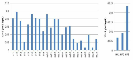 Mutant colony별 DHS 생산량 비교