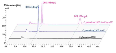 △pcaGH mutant의 HPLC 분석