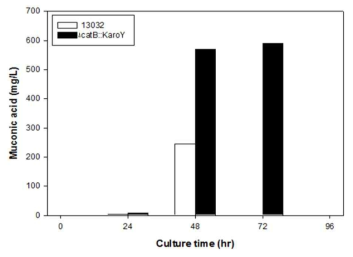 생산배지(B)에서 균주에 따른 뮤코닉산 생산성 비교