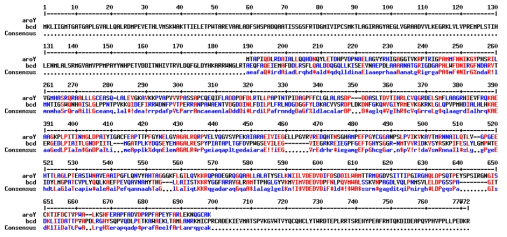 기존 aroY와 kpd gene의 아미노산 서열 분석