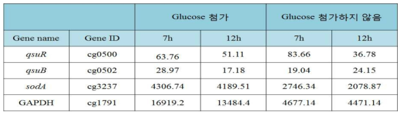 RNA sequencing 분석 결과의 RPKM 데이터. 각 조건에서의 유전자 발현율을 나타낸다.