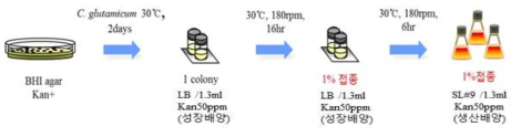 에스티알바이오텍에서 제공받은 최적배양조건