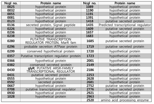 아미노산 첨가구에서 발현량에 2배 이상 증가를 보이면서 기능이 명확하지 않은 유전자 목록.